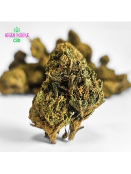 Fleur Harlequin CBD