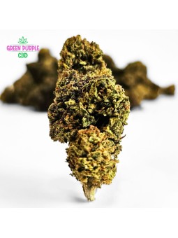 Fleur Gelato Cali HE