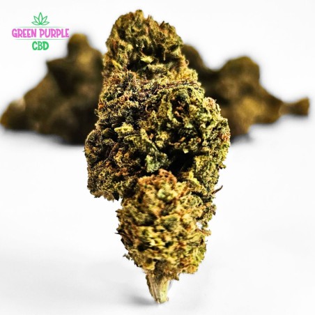 Fleur Gelato Cali HE Fleur Gelato Cali HE
