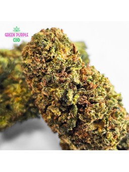 Fleur Gelato Cali HE