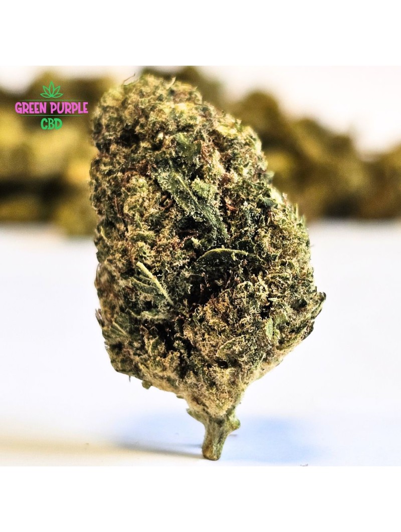 Fleur Orange Bud CPM