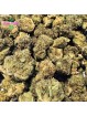 Fleur Orange Bud CPM