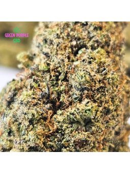 Fleur Plutonium CBD