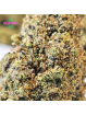 Fleur Plutonium CBD
