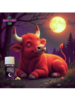 Gelules Melatonia Sommeil tranquille X30