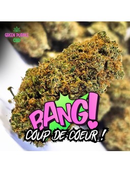 Fleur Magnum Cali US (BANGER !)