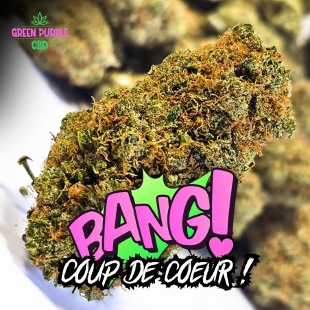 Fleur Magnum Cali US (BANGER !)