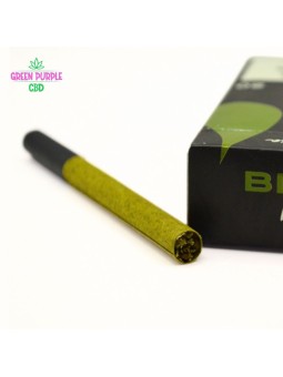 CIGARETTES CBD PREMIUM BLUNT KING USA X20