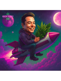 Fleur Gelato Cali HE