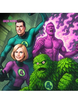 Résine 4 x Filtré N30%