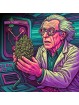 Fleur Plutonium CBD