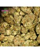Fleur MAGNUM CALI N30%