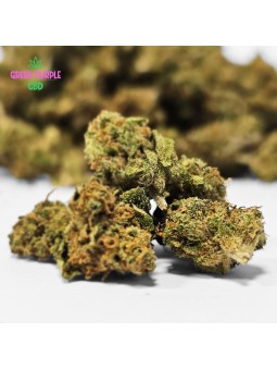 Mini-fleur Blueberry Small Bud