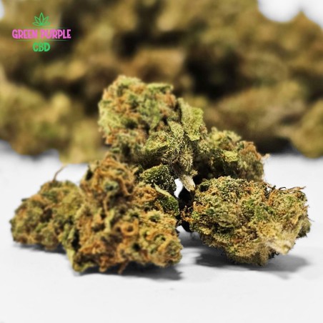 Mini-fleur Blueberry Small Bud Mini-fleur Blueberry Small Bud