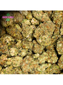 Mini-fleur Blueberry Small Bud