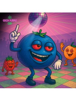 Mini-fleur Blueberry Small Bud