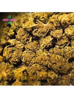 Mini-fleurs OG kush small bud