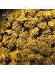 Mini-fleurs OG kush small bud