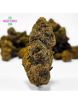 Fleur Blueberry BZ20