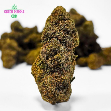 Fleur Blueberry BZ20