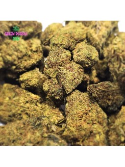 Fleur Blueberry BZ20