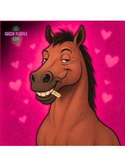 Gelules CRAZY NIGHT ❤️ X30