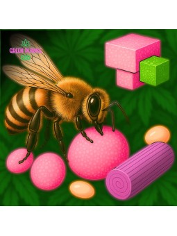 RESINE PREMIUM HONEY CANDY CBD