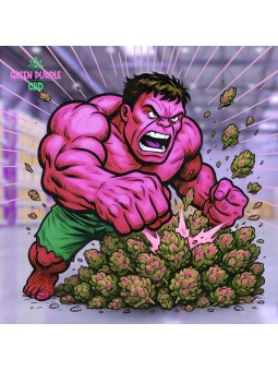 Mini-fleurs Bruce Banner Small Bud