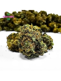 Mini-fleurs Bruce Banner Small Bud