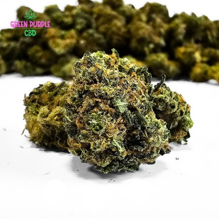 Mini-fleurs Bruce Banner Small Bud Mini-fleurs Bruce Banner Small Bud