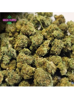 Mini-fleurs Bruce Banner Small Bud