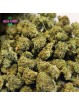 Mini-fleurs Bruce Banner Small Bud