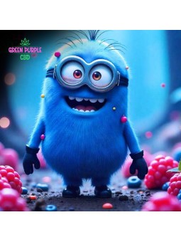 2 GUMMIES STRONG KUSH BAIES PETITE MIGNONNE