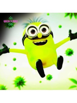 2 GUMMIES STRONG POMME PETITE MIGNONNE