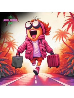 2 GUMMIES STRONG MIMOSA PÊCHE PETITE MIGNONNE