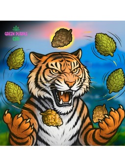 MIX STRONG EXCLU INTERNET ! STOCK LIMITÉ ⚠️