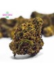 Mini-fleurs Og Peach Small Bud Mini-fleurs Og Peach Small Bud