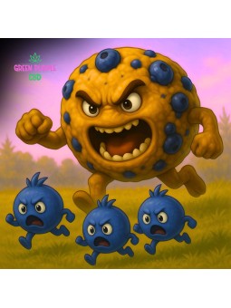 Small Bud Blueberry Cookie