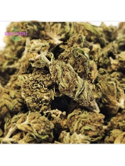 Small Bud Strawberry 🍓