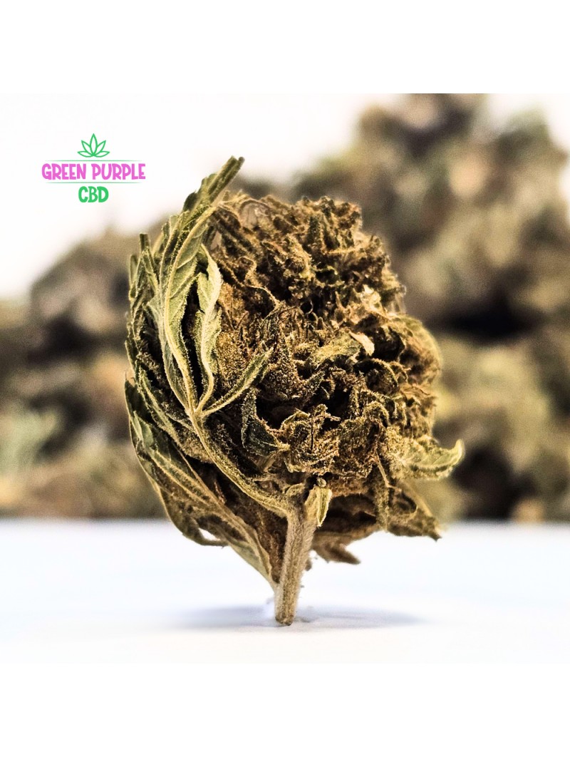 Small Bud Strawberry 🍓