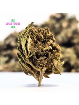 Small Bud Strawberry 🍓