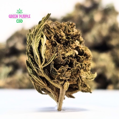 Small Bud Strawberry 🍓