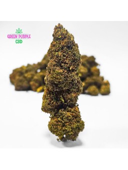 Fleur Sunset Sherbert N30%