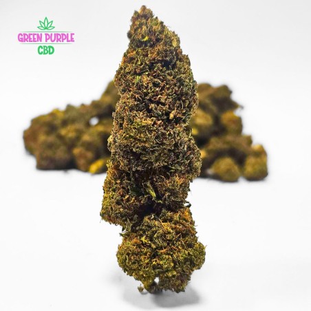 Fleur Sunset Sherbert N30%