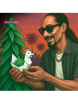 Roll 4 mètres blanc Beuz