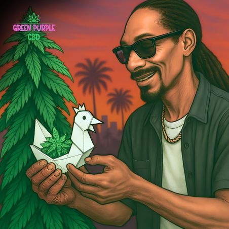 Roll 4 mètres blanc Beuz