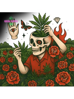 Boite + plateau métal CALAVERA CRANE