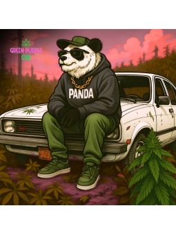 Boite + Plateau métal Gangsta Panda