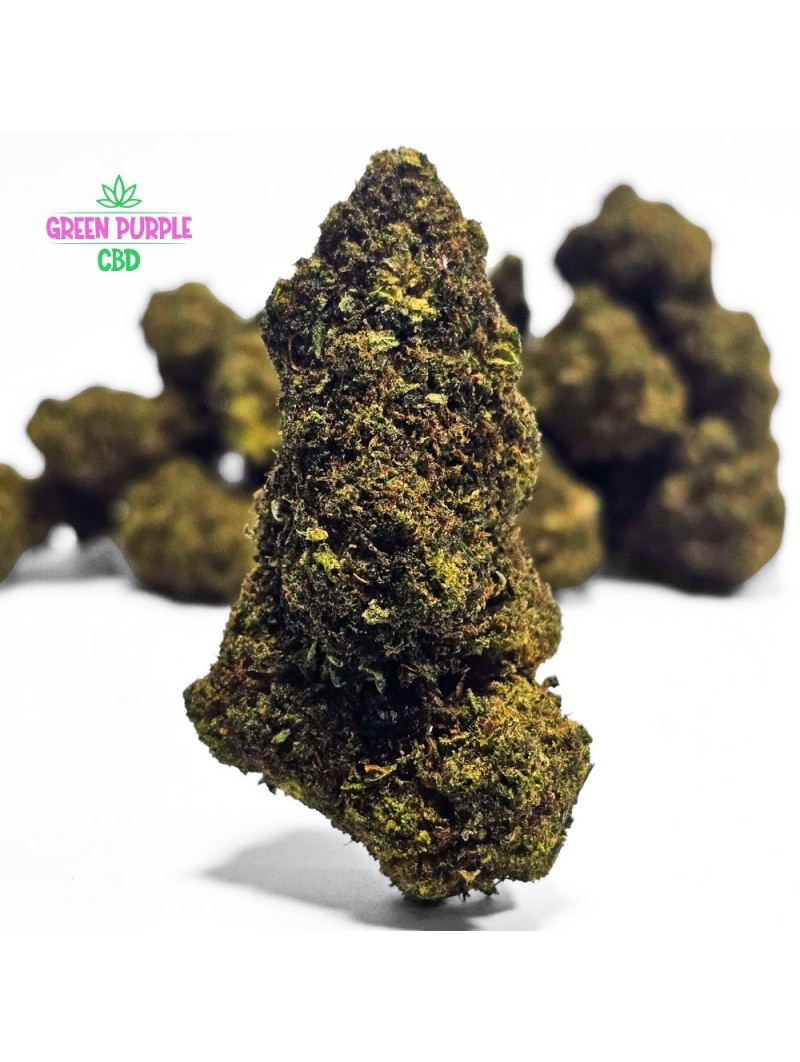 Fleur "La Trempette" BZ20 ☣️