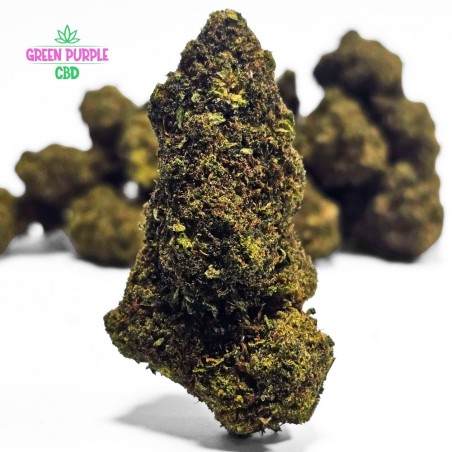 Fleur "La Trempette" BZ20 ☣️